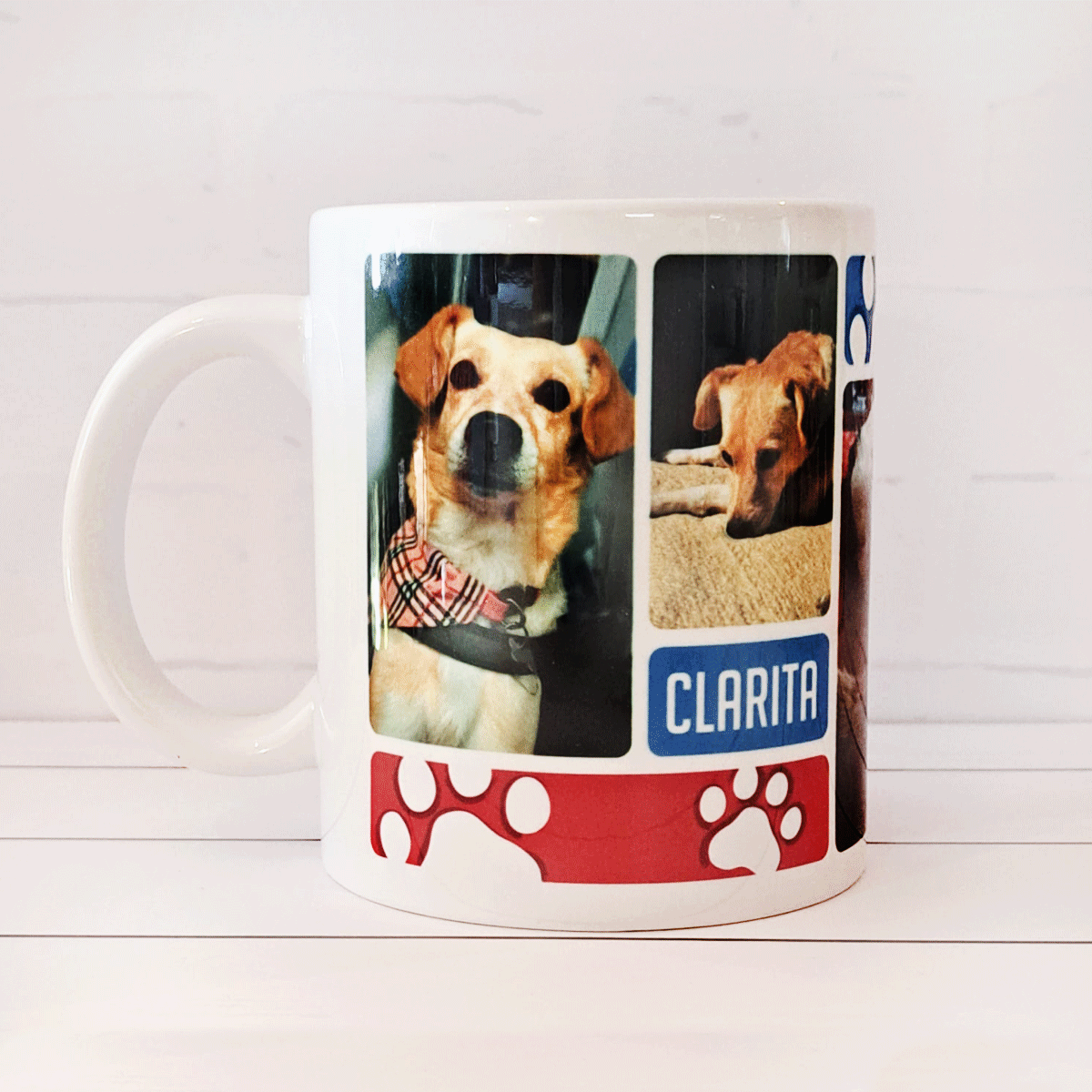 Tazón con fotos y nombre de tu mascota6