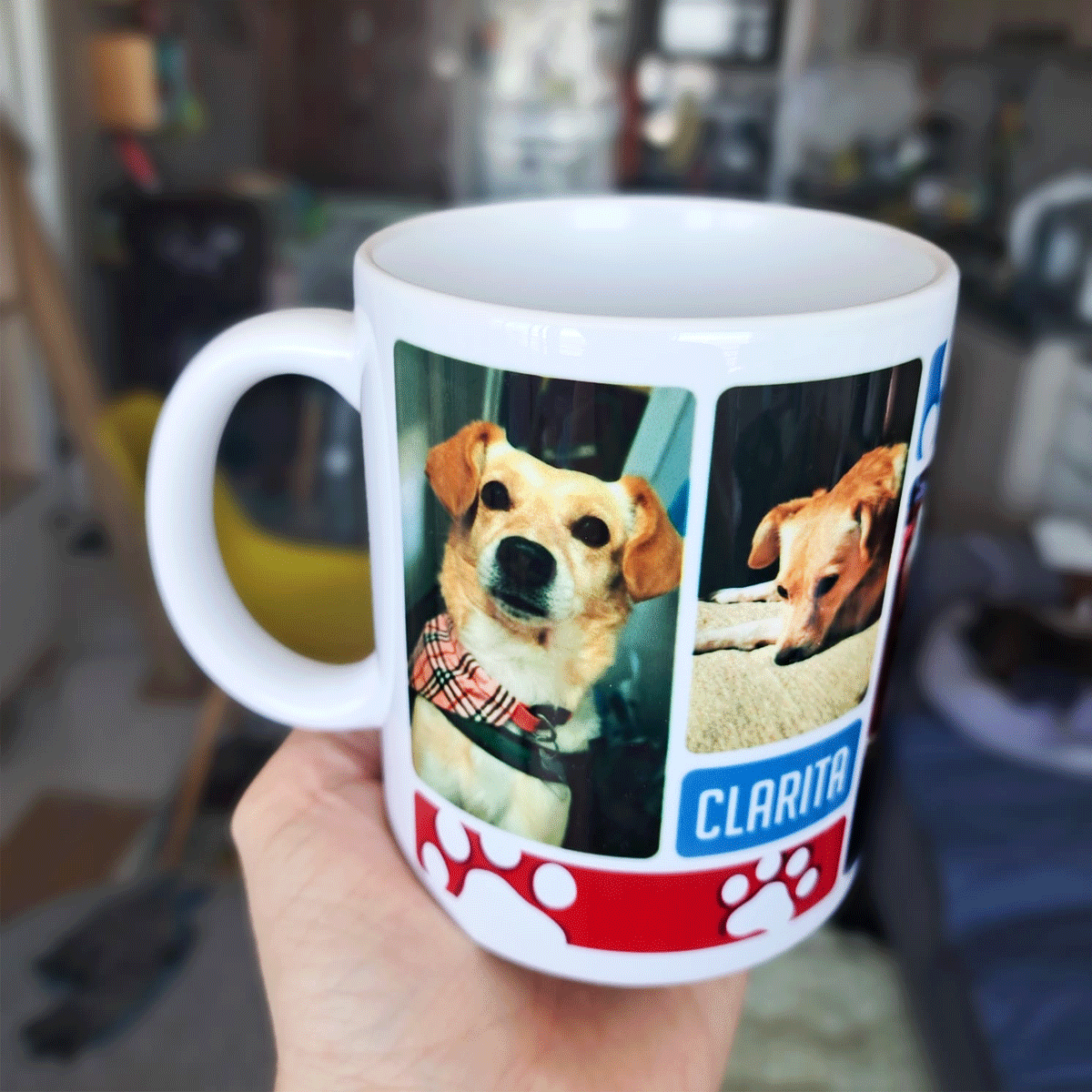 Tazón con fotos y nombre de tu mascota2