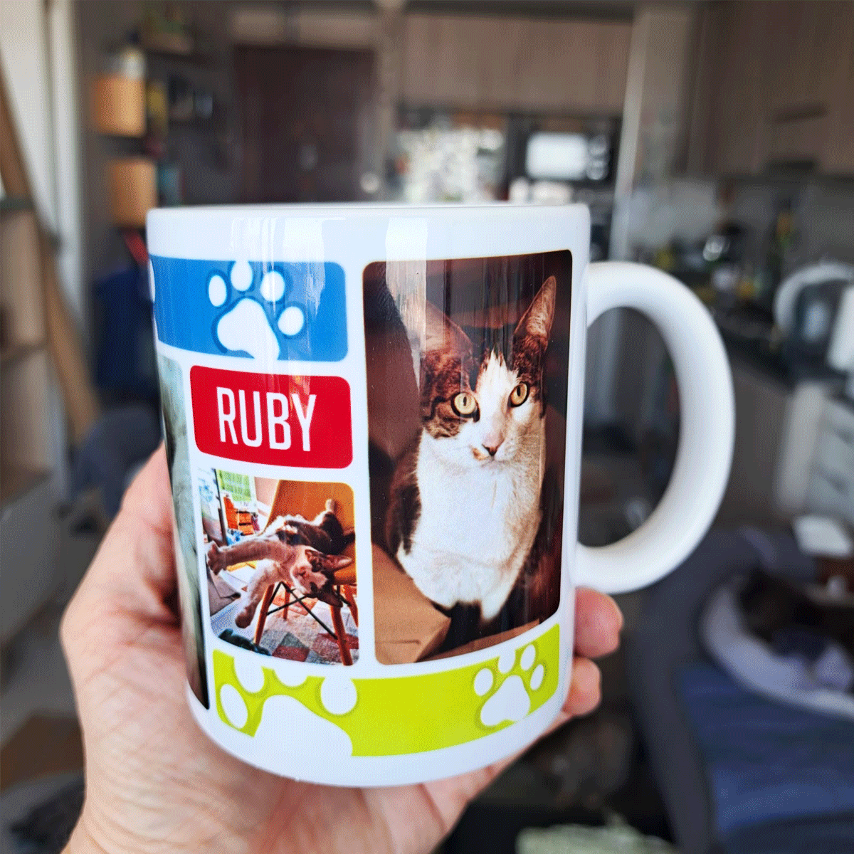 Tazón con fotos y nombre de tu mascota 1