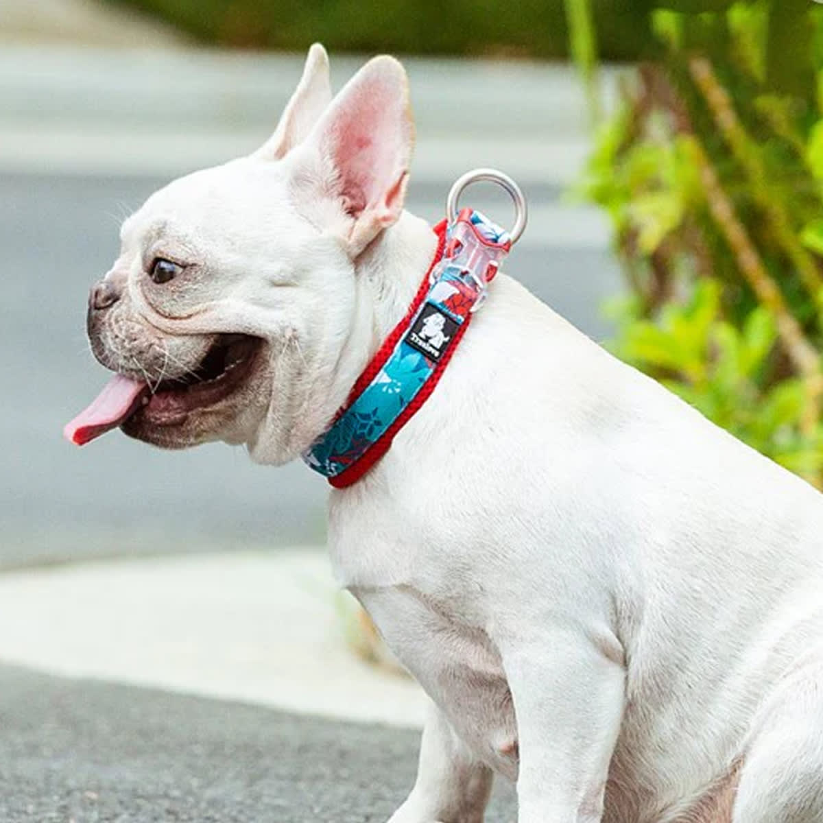 True Love Collar Camouflage Blue Red2