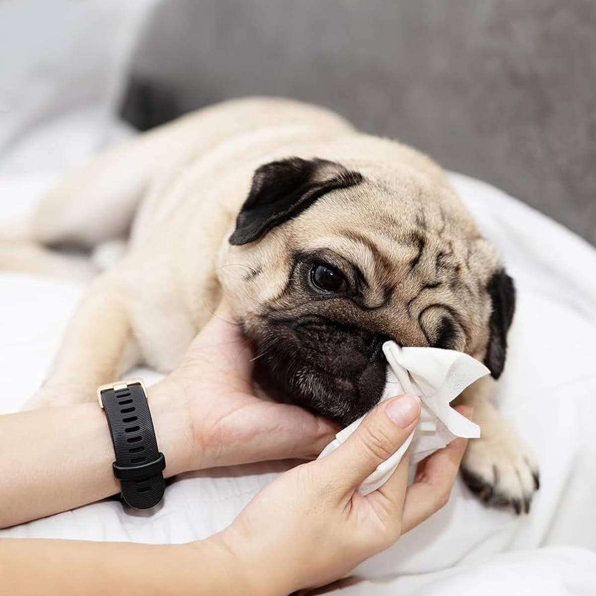 Two Brothers Antibacterial Wipes 40 unidades1