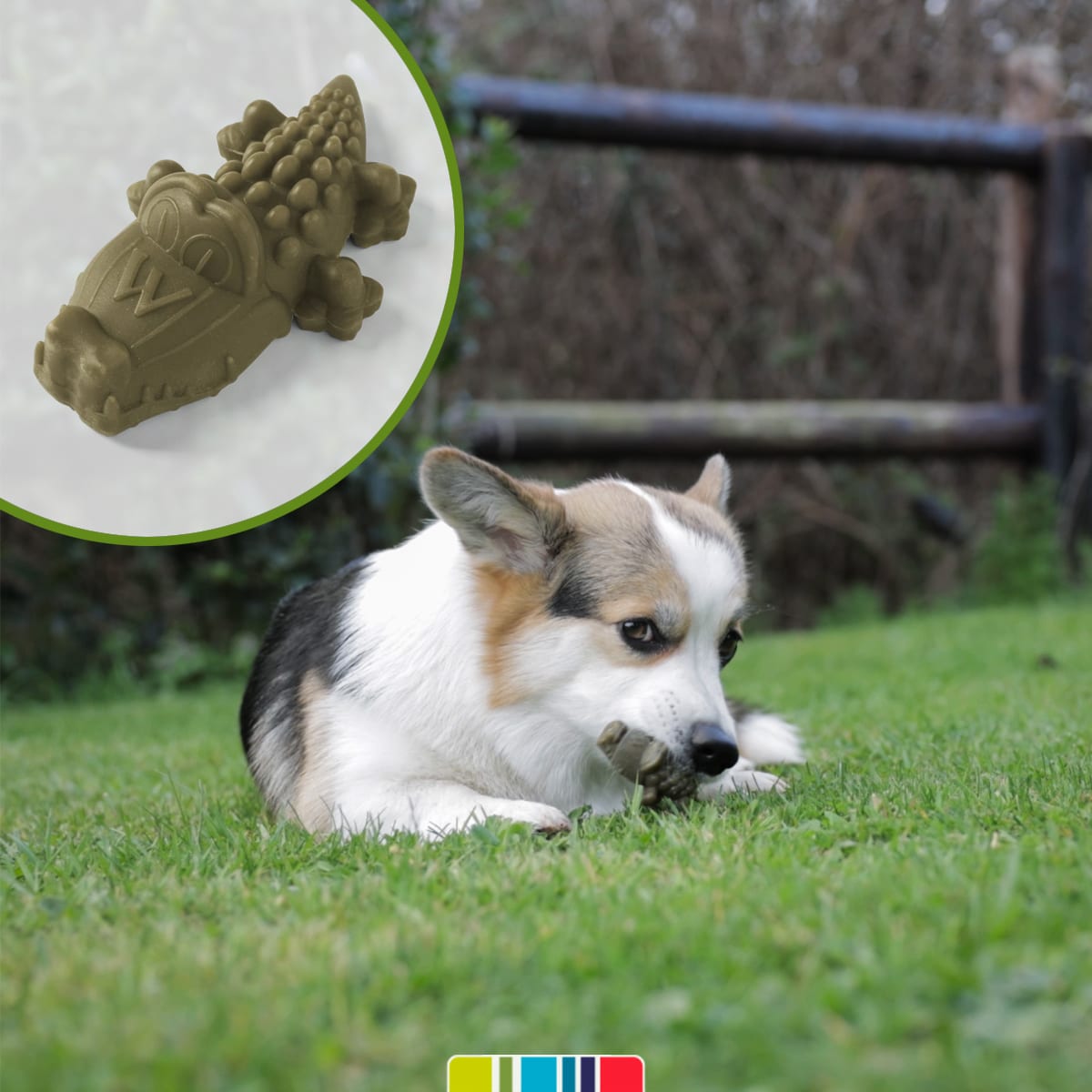 WHIMZEES Dental Treats ALLIGATOR Medium2