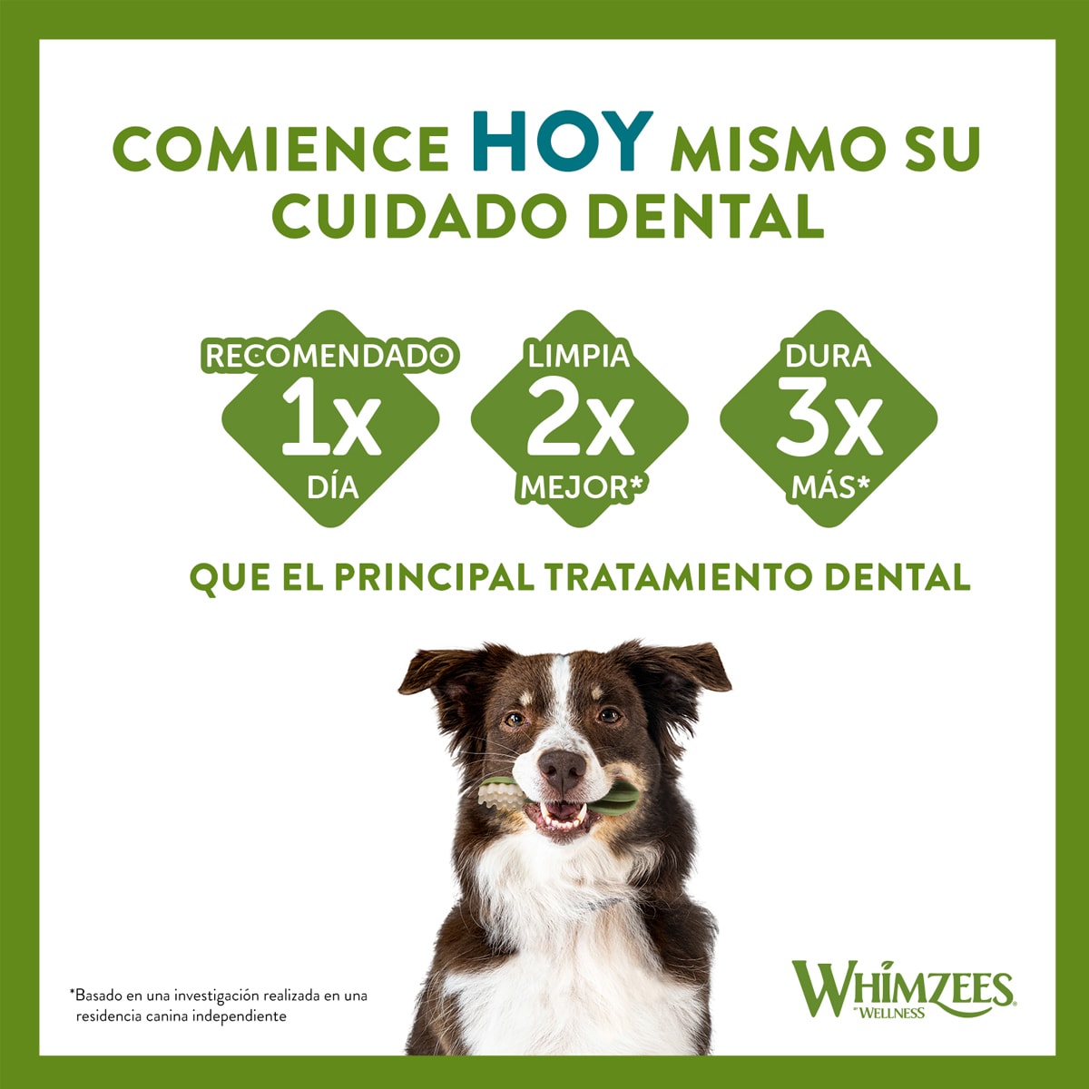 WHIMZEES Dental Treats ALLIGATOR Medium4