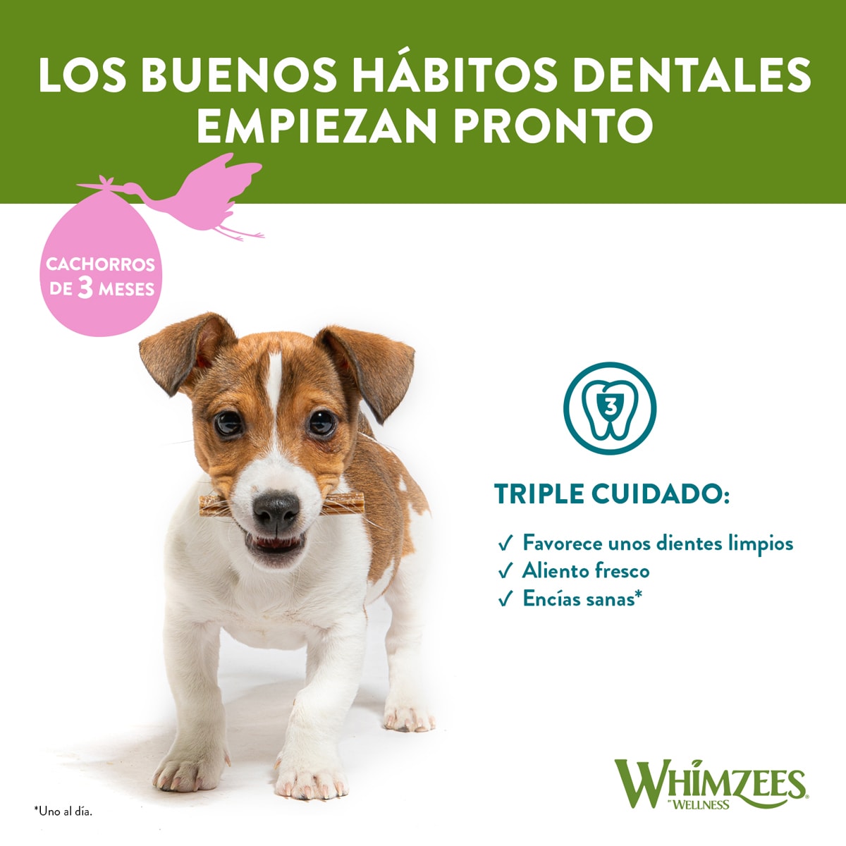 WHIMZEES Dental Treats Puppy XS/S4