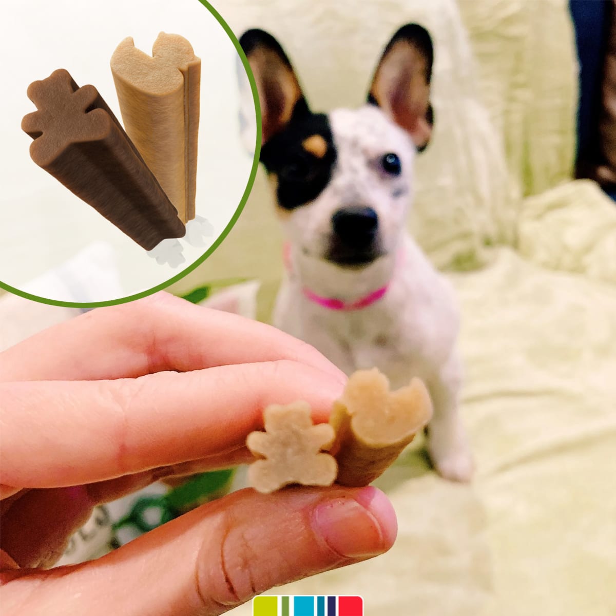 WHIMZEES Dental Treats Puppy XS/S2