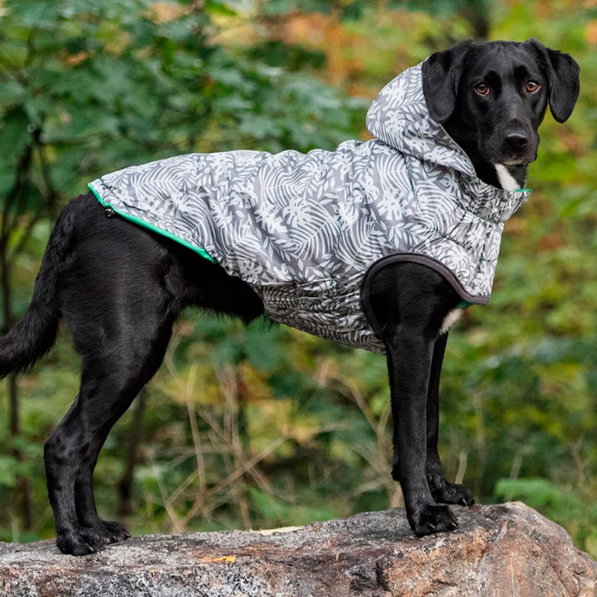 GFPET Impermeable Reversible Verde/Gris Claro1