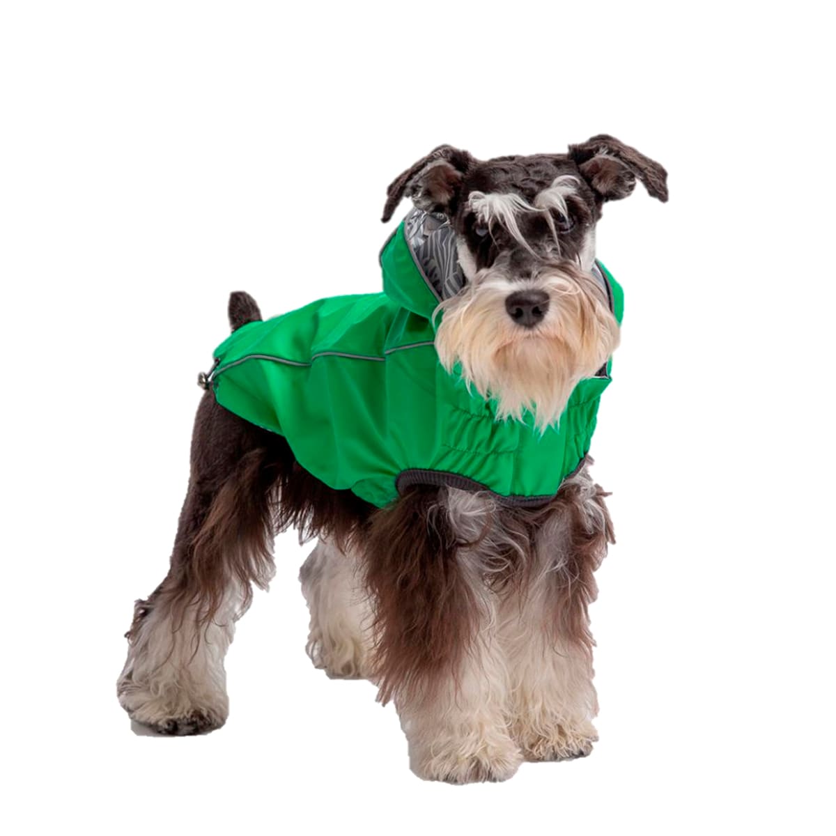 GFPET Impermeable reversible verde/gris claro Talla XS2