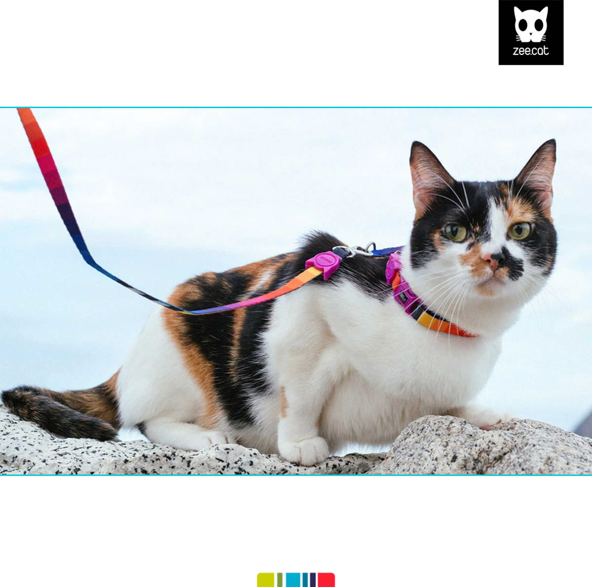 ZeeCat arnés con correa Pink Led de ZeeDog para gatos2