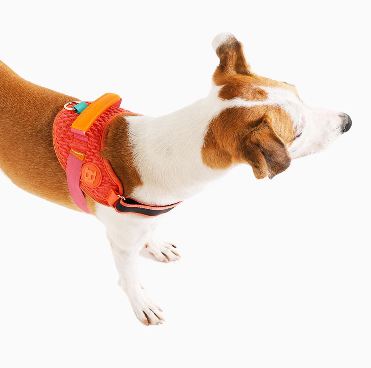 ZeeDog FlyHarness Gazelle para perros2