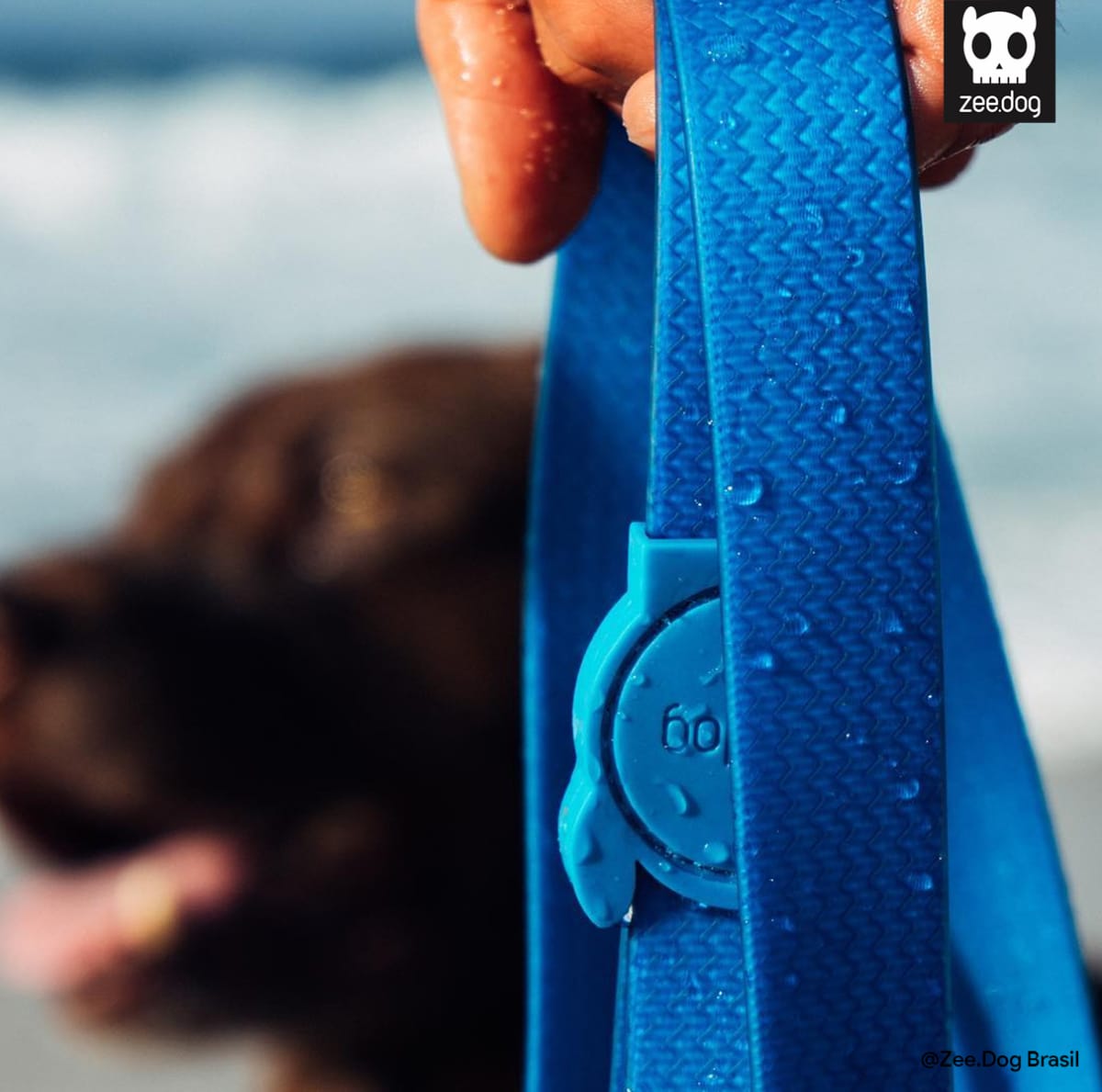 ZeeDog Correa Neopro Blue Leash para perros (Resistente al agua)2