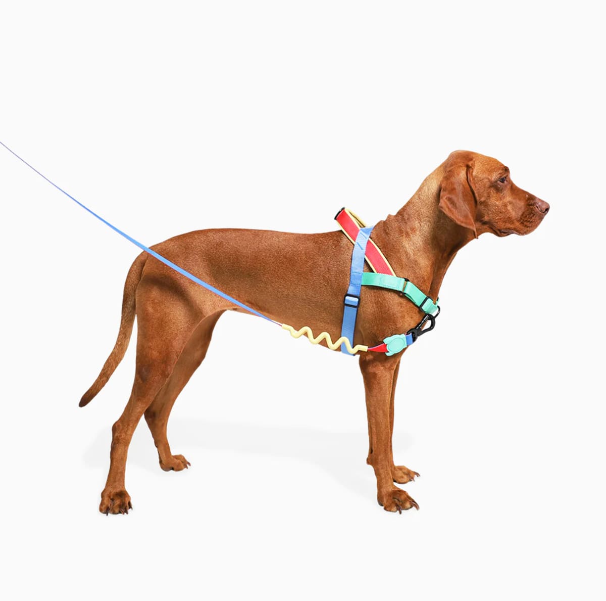 ZeeDog Softer Walk Harness Mellow arnés anti-tirones para perros2