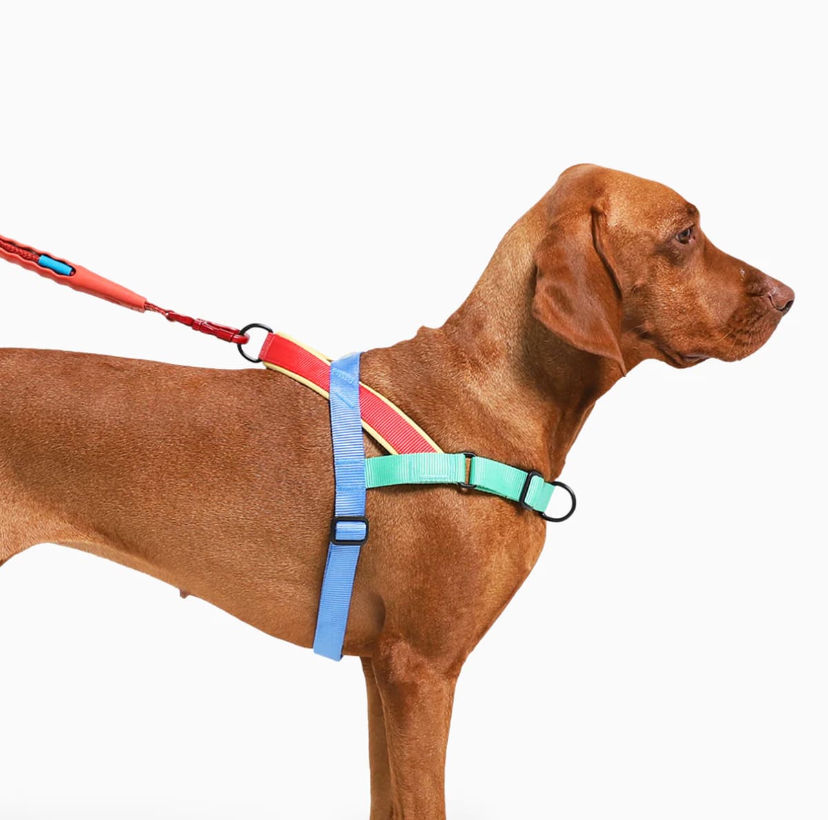 ZeeDog Softer Walk Harness Mellow arnés anti-tirones para perros3