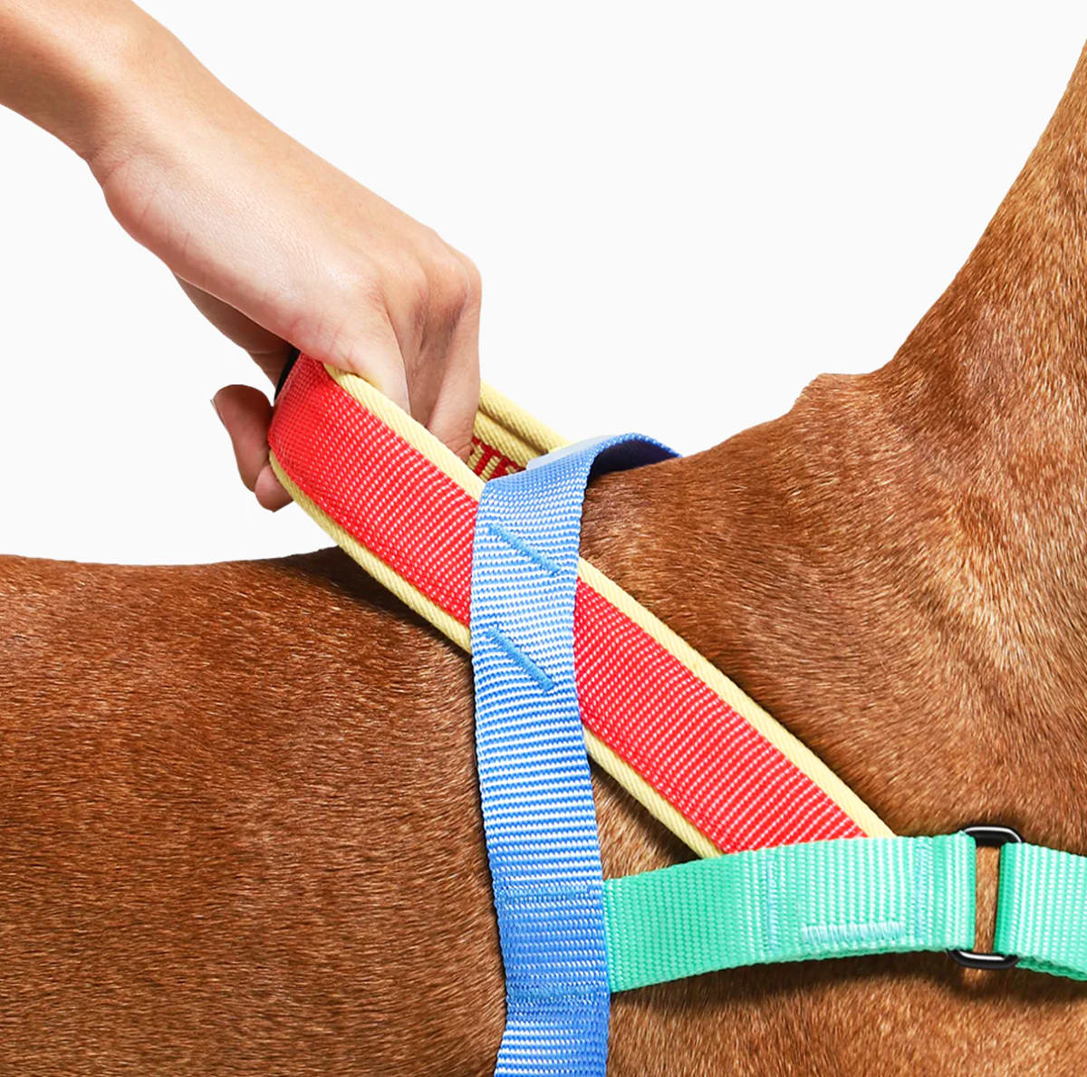 ZeeDog Softer Walk Harness Mellow arnés anti-tirones para perros4
