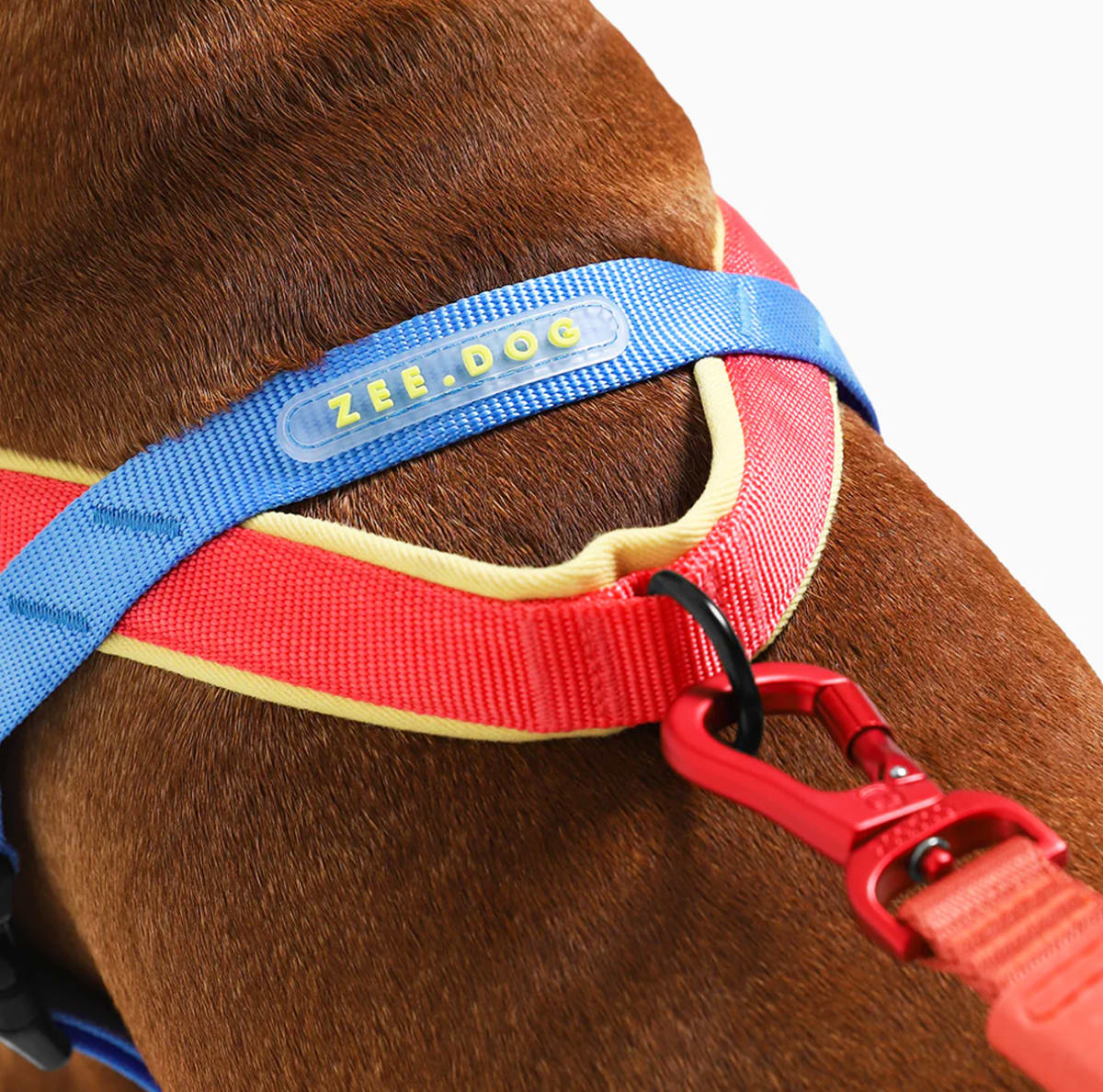 ZeeDog Softer Walk Harness Mellow arnés anti-tirones para perros5