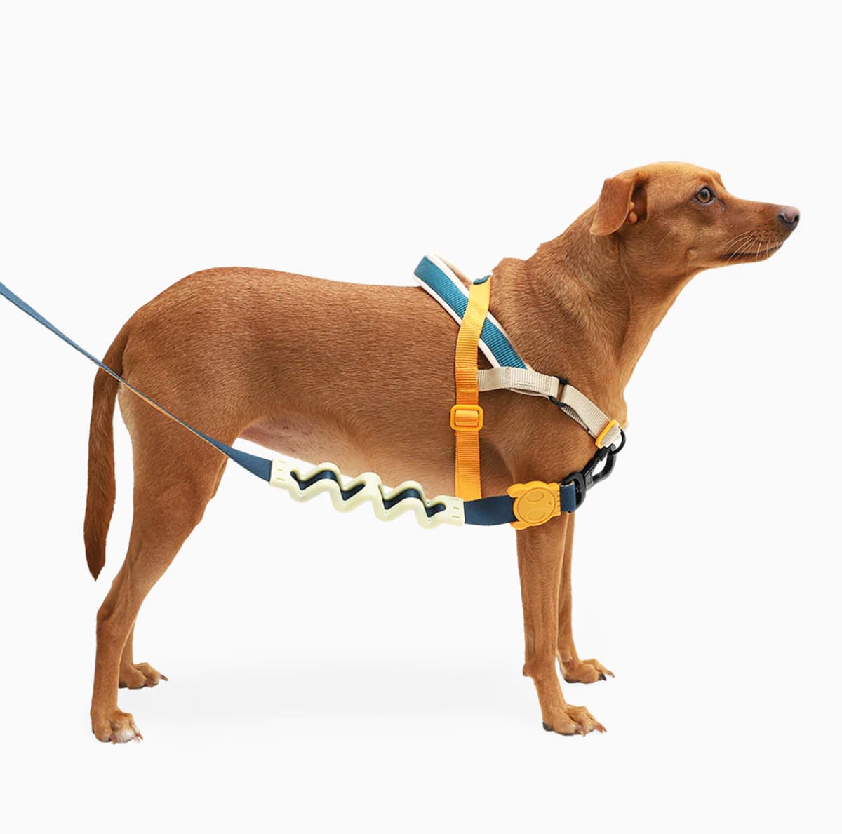 ZeeDog Arnés evita-tirones Voyage Softer Walk Harness2