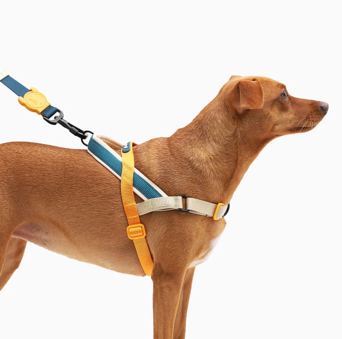 ZeeDog Arnés evita-tirones Voyage Softer Walk Harness3