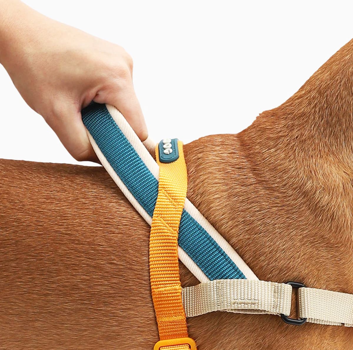 ZeeDog Arnés evita-tirones Voyage Softer Walk Harness4