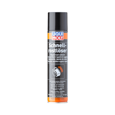 SPRAY ANTIOXIDO ''LIQUI MOLY'' 300 ML.1
