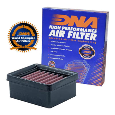 FILTRO DE AIRE ALTO FLUJO BMW G-310R/G-310GS ''DNA'' 1