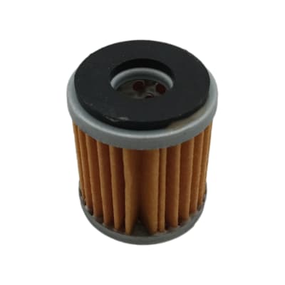 FILTRO ACEITE YZF-R15/FZ-25/YZF-250 (00/02) [PZ]1