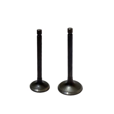 VALVULAS. JGO. YBR-125 1
