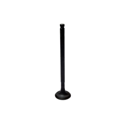 VALVULA ADMISION BWS-125 1