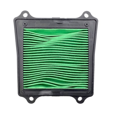 FILTRO AIRE PULSAR-200NS FI/PULSAR-160NS/RS-200/DOMINAR-250/400 (INYECTADA) 1