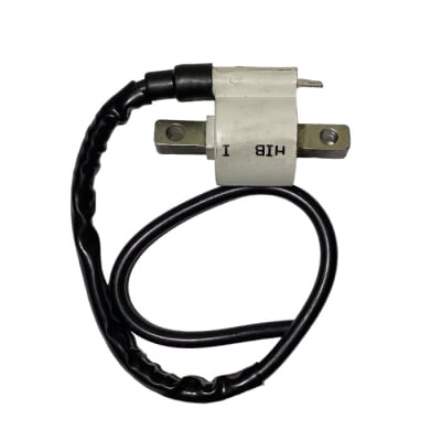 BOBINA ALTA 12V BAJAJ DISCOVER-125/150 (IZQ) 1