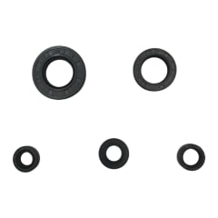 RETENES MOTOR. JGO. YBR-125/XTZ-125 