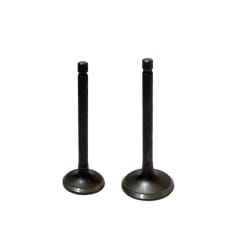 VALVULAS. JGO. YBR-125 