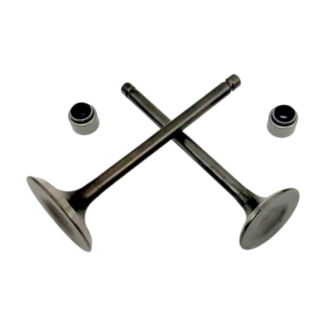 VALVULAS JGO FZ 250 / XTZ 250 VITRIX2