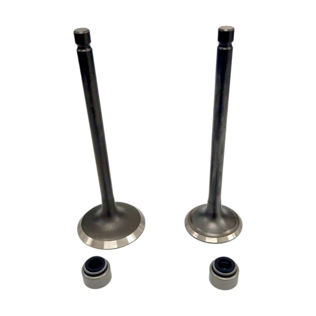 VALVULAS JGO FZ 250 / XTZ 250 VITRIX3