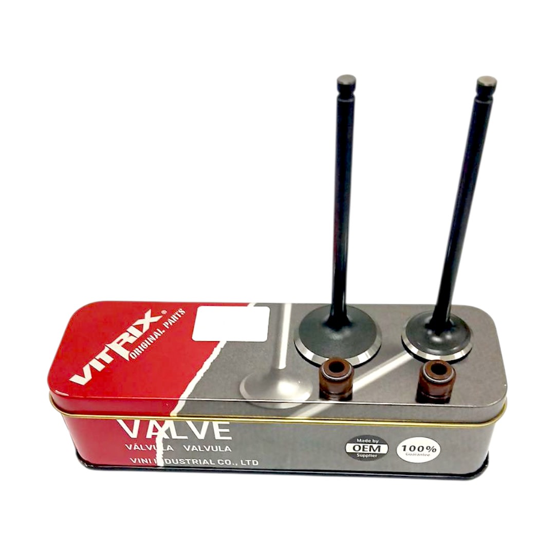 VALVULAS JGO GIXXER 150 / GSX 150 VITRIX 0