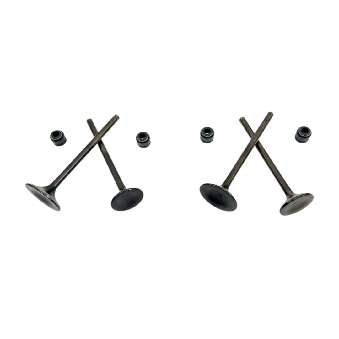 VALVULAS JGO XRE 300 VITRIX2