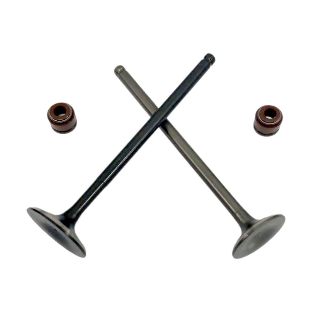 VALVULAS JGO RKS 125 VITRIX2