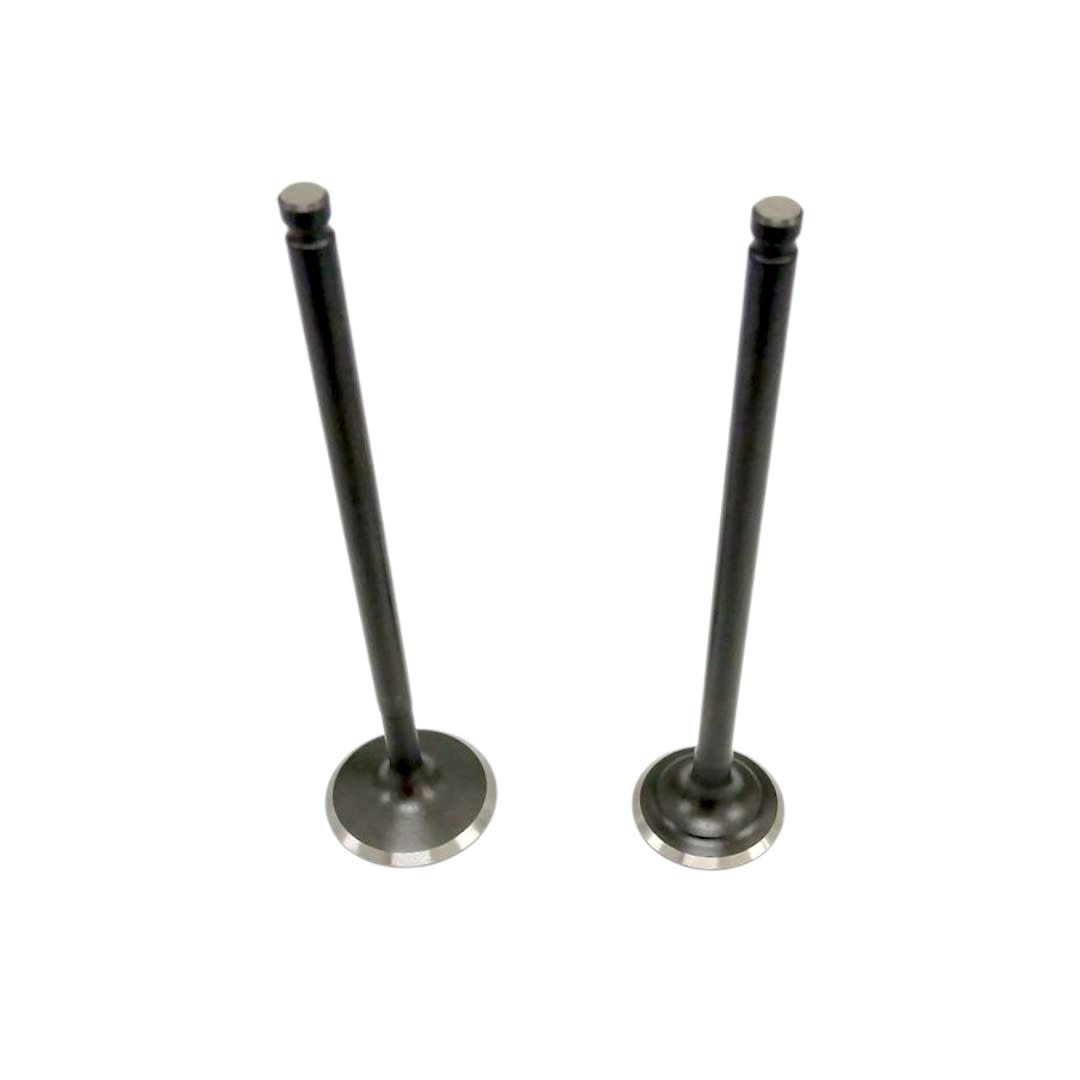 VÁLVULAS JGO EN 125 / GN 125 VITRIX3