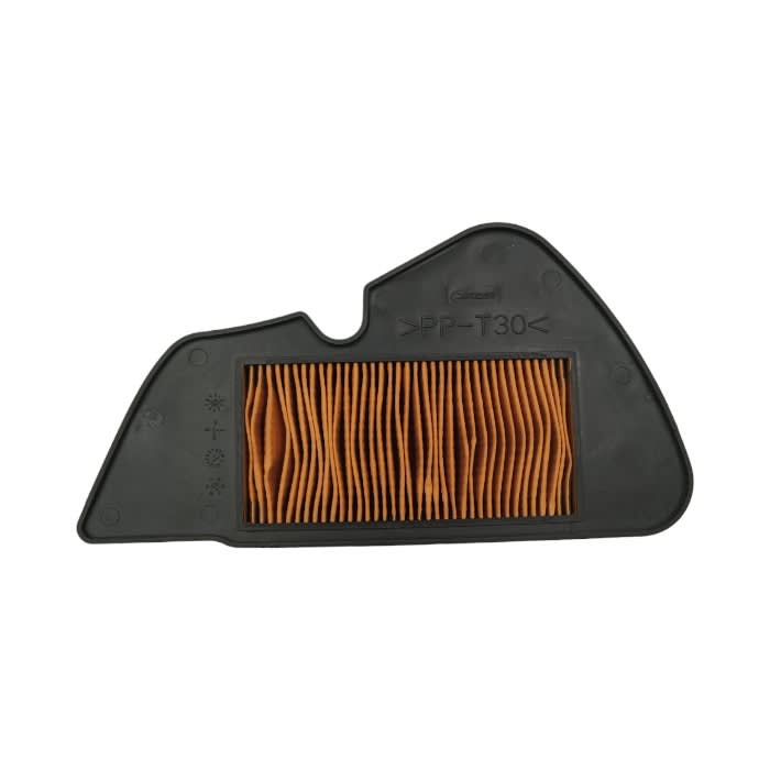 FILTRO AIRE CYGNUS XA-125  0