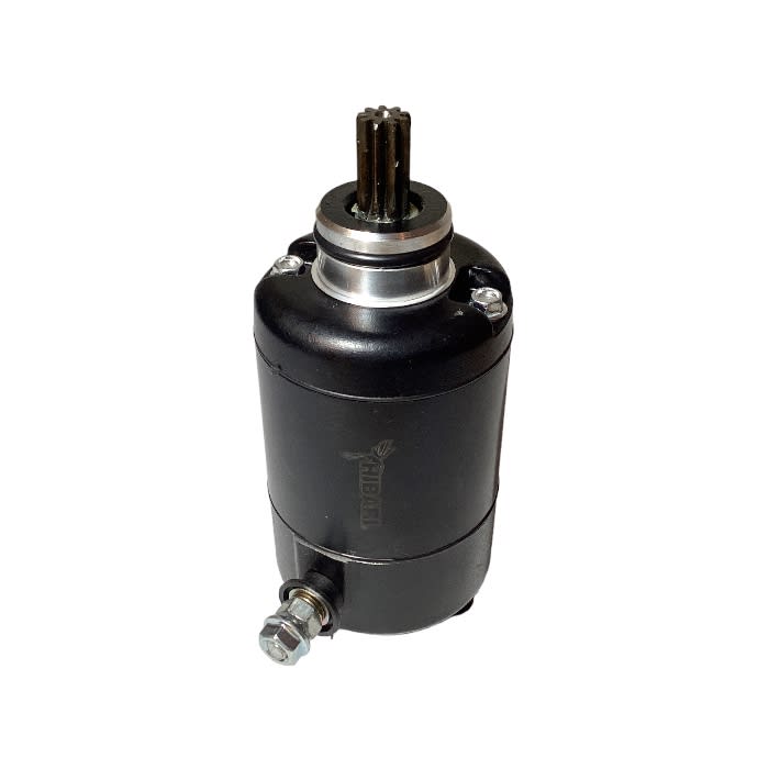 MOTOR PARTIDA PULSAR-180 1