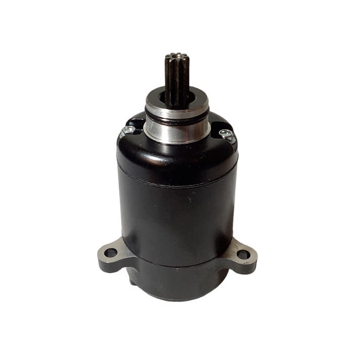 MOTOR PARTIDA PULSAR-135 1