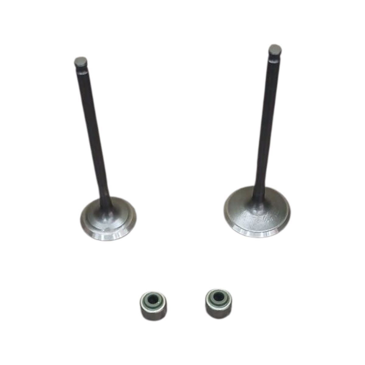 VALVULAS JGO NEW-STORM XR-125L (CADENERA) VITRIX3
