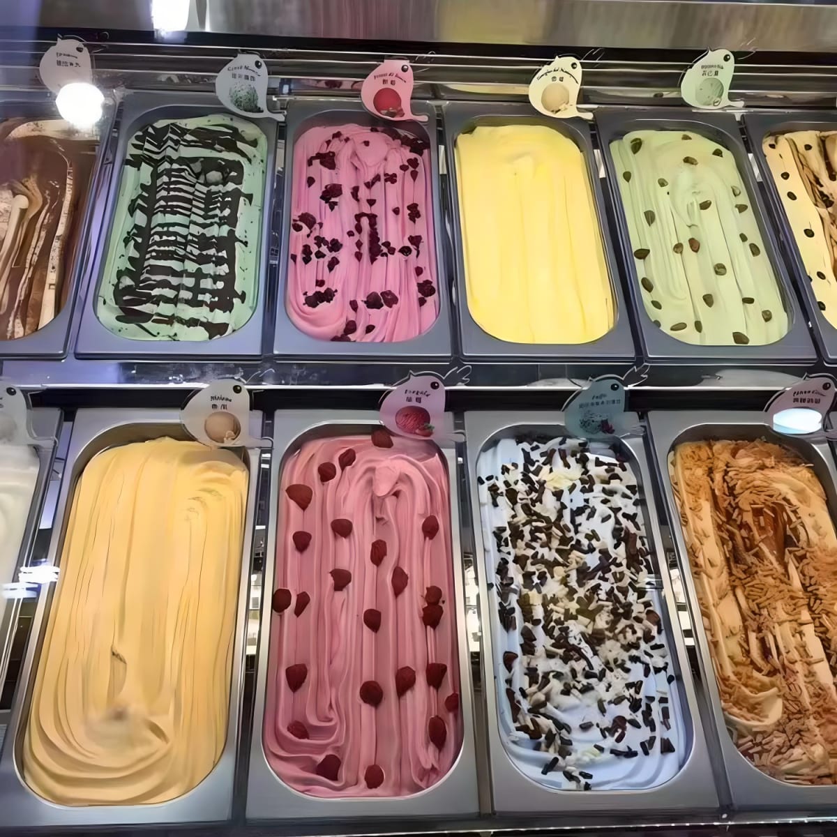 Pack 6 Depositos Gastro GN 1/3 x 65 mm Acero Inox3