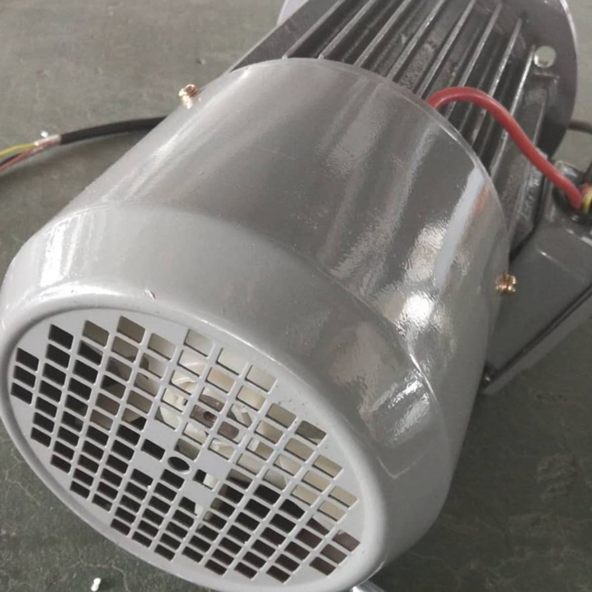 Sierra Prochef 1650 mm Cortadora de Carne y Hueso7