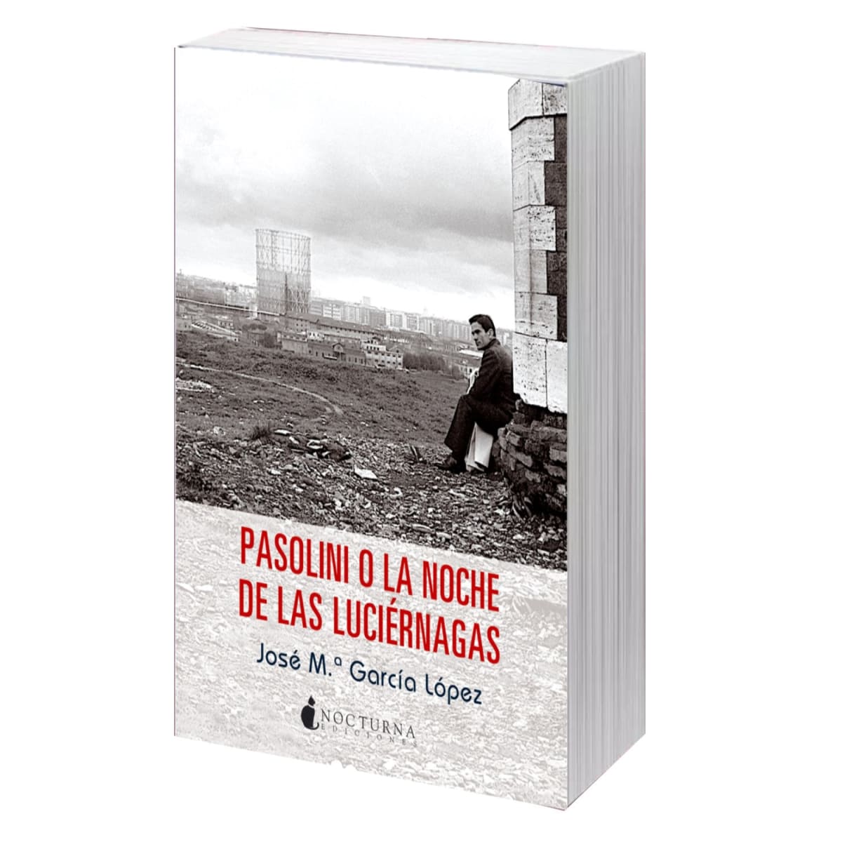 Libro Pasolini o La Noche de las Luciernagas1