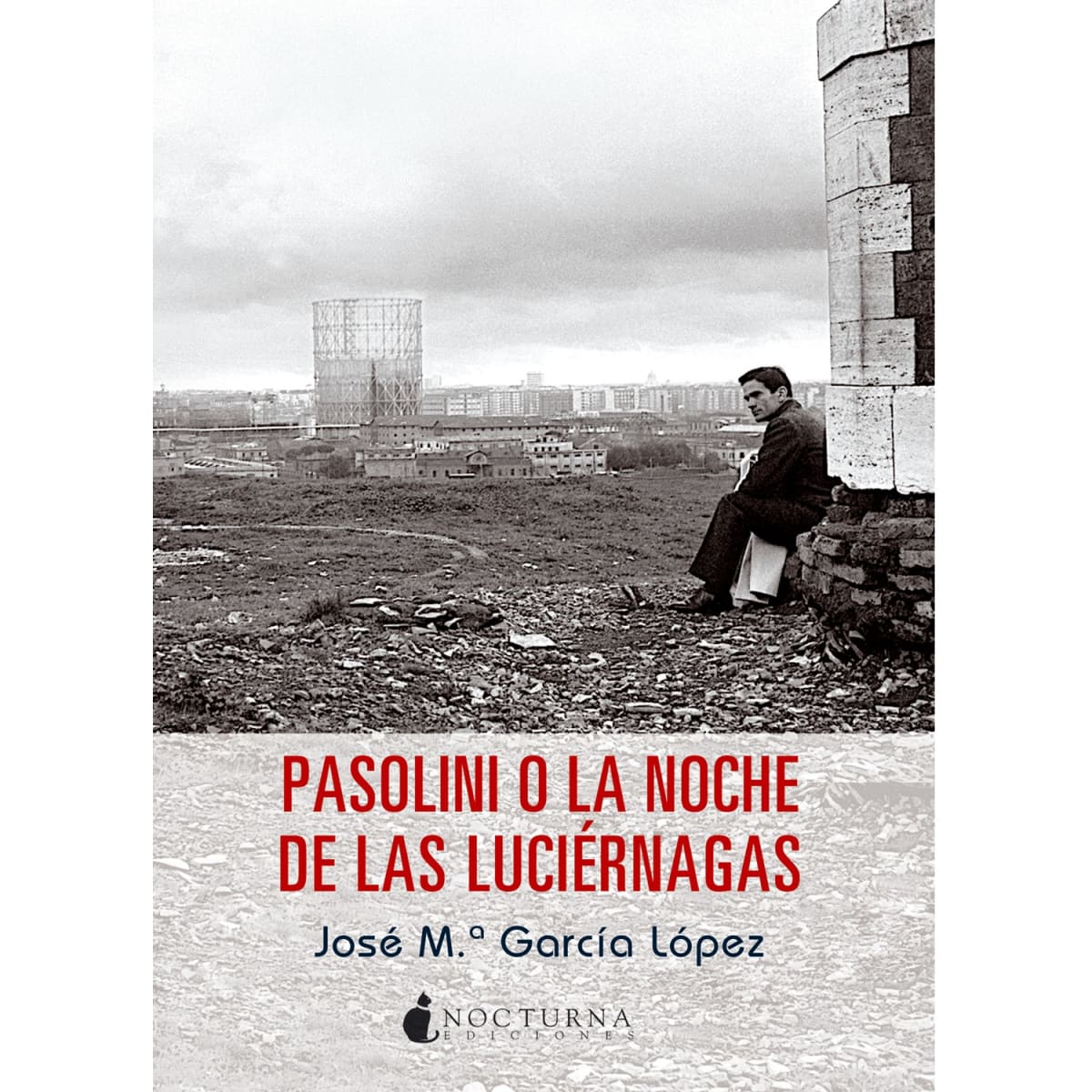 Libro Pasolini o La Noche de las Luciernagas2