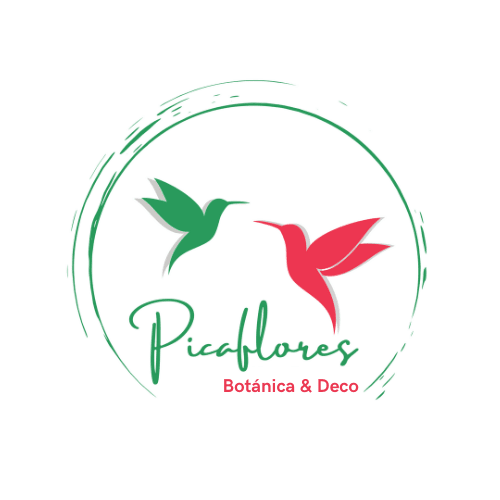 PICAFLORES Botánica & Deco