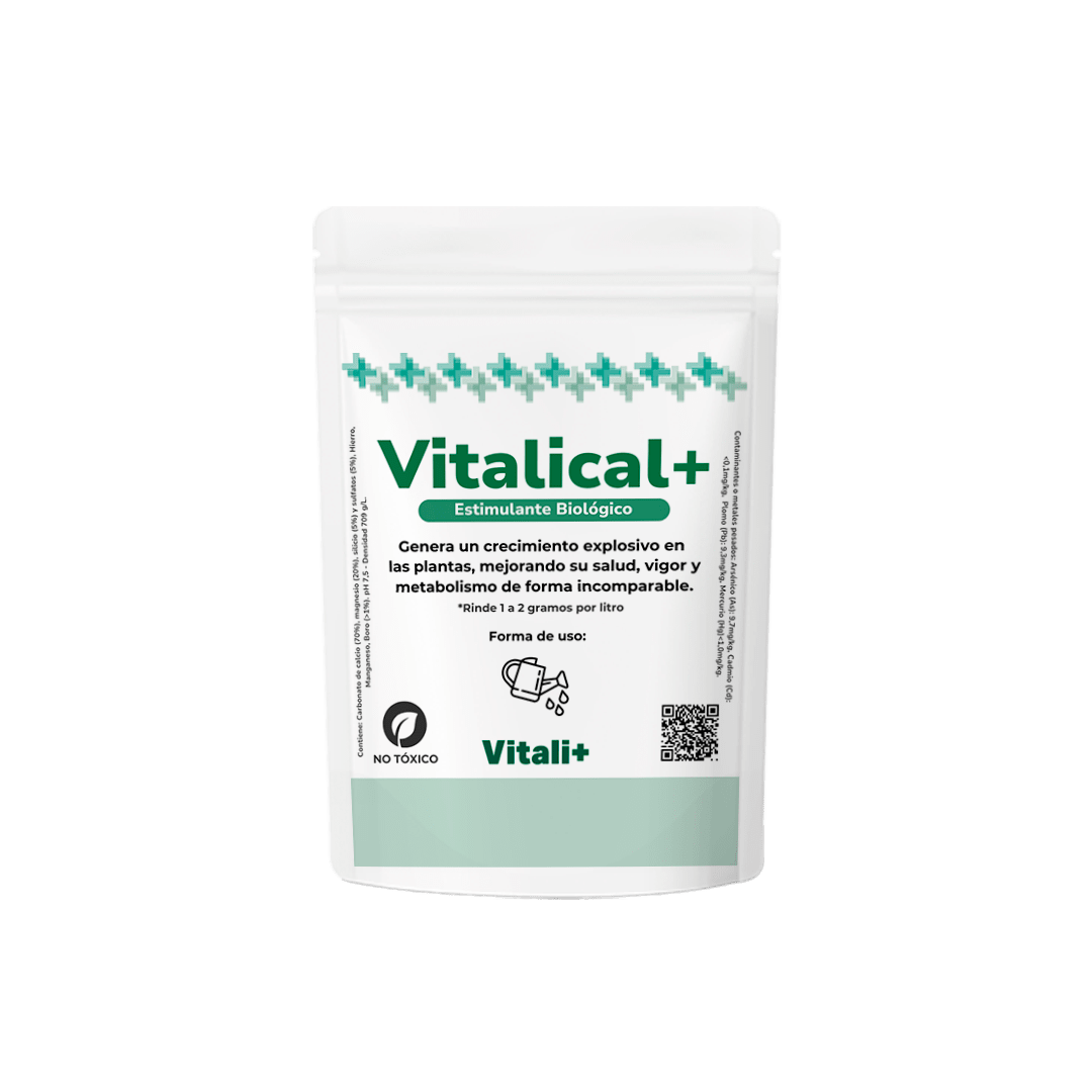 VITALICAL 10 grs.1