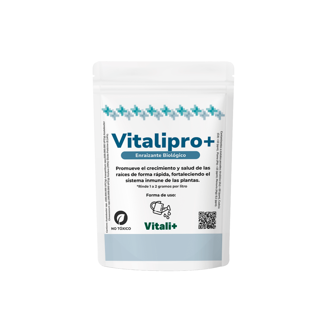 VITALIPRO1