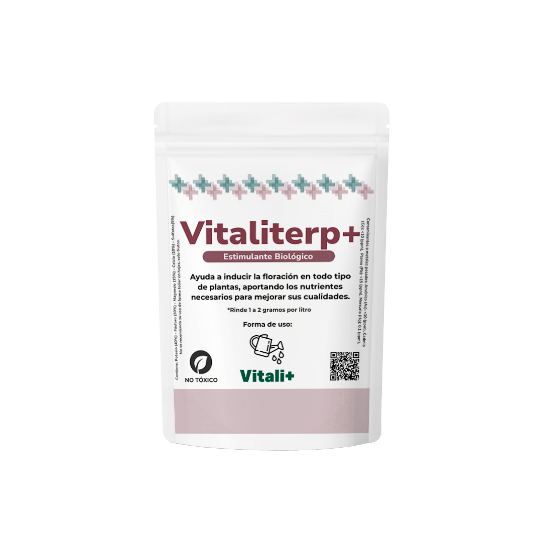 VITALITERP1