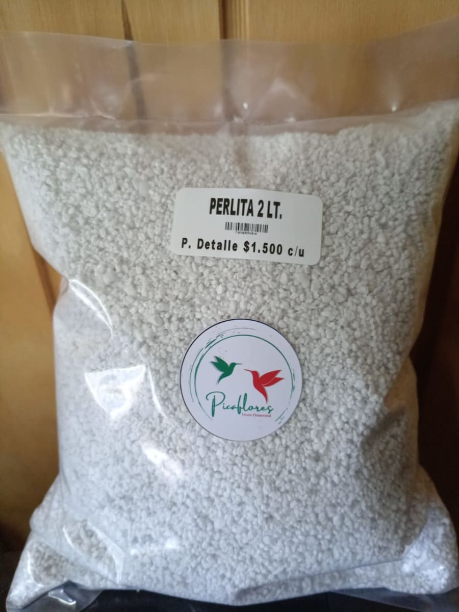 PERLITA1