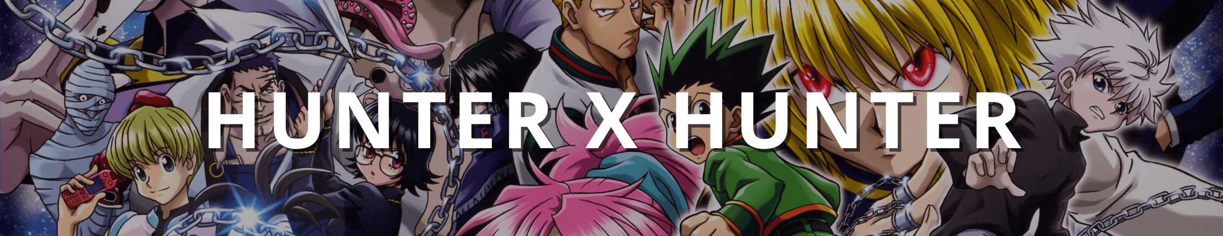 Todo Hunter X Hunter